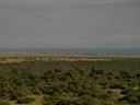 Rift valley met Lake Albert P8104172