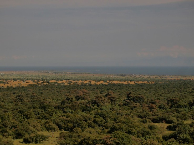 Rift valley met Lake Albert P8104172